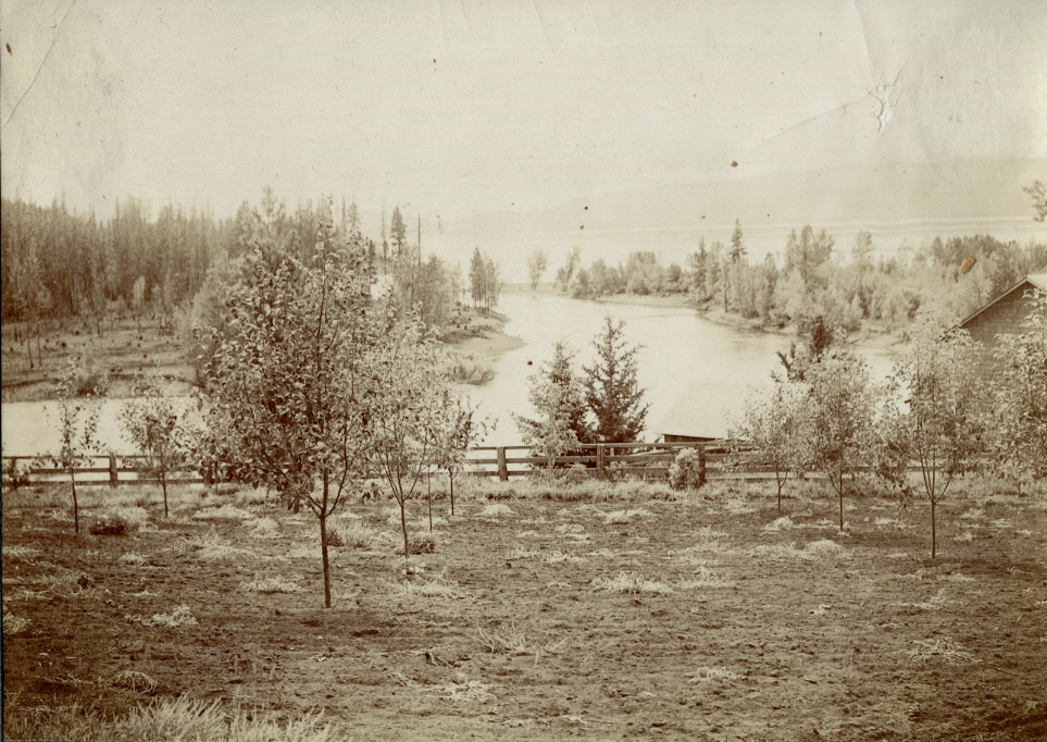 Sliter’s Orchard and view of Bigfork Bay. Credit - Kellogg Collection