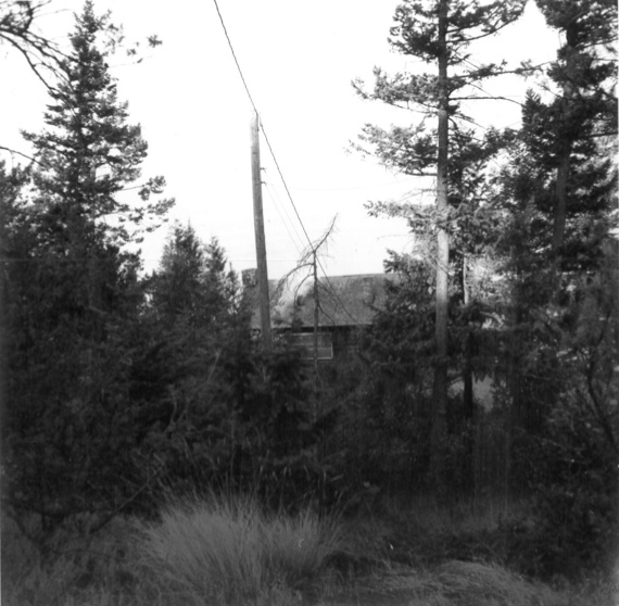 A 1970 picture showing one of the cabins built either as part of ashram or by the Mason’s at what is now Wayfarers Unit of Flathead Lake State Park. (Credit – MT FWP) 