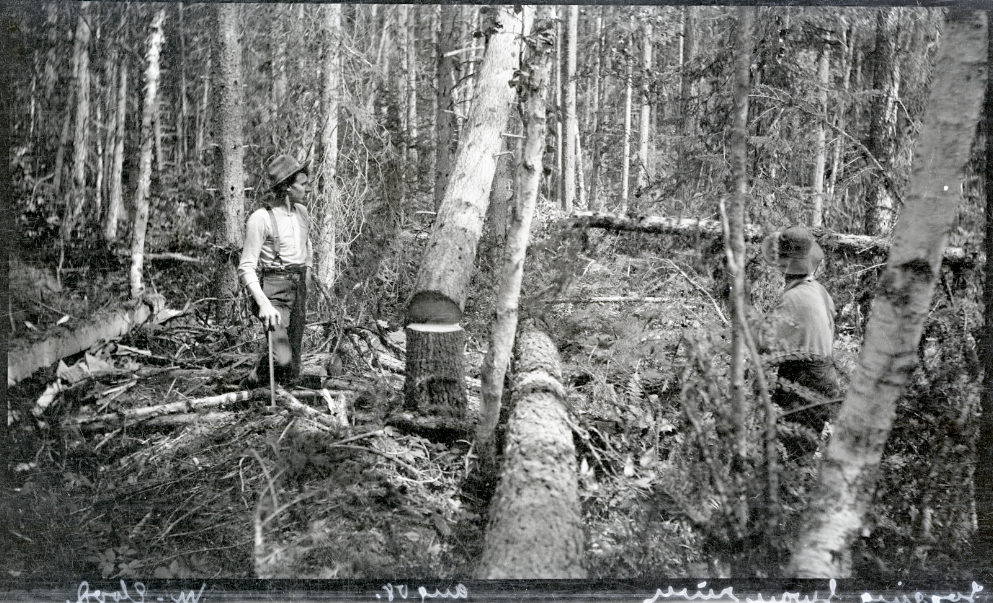 Loggers working in the woods – Credit UM Mansfield Library