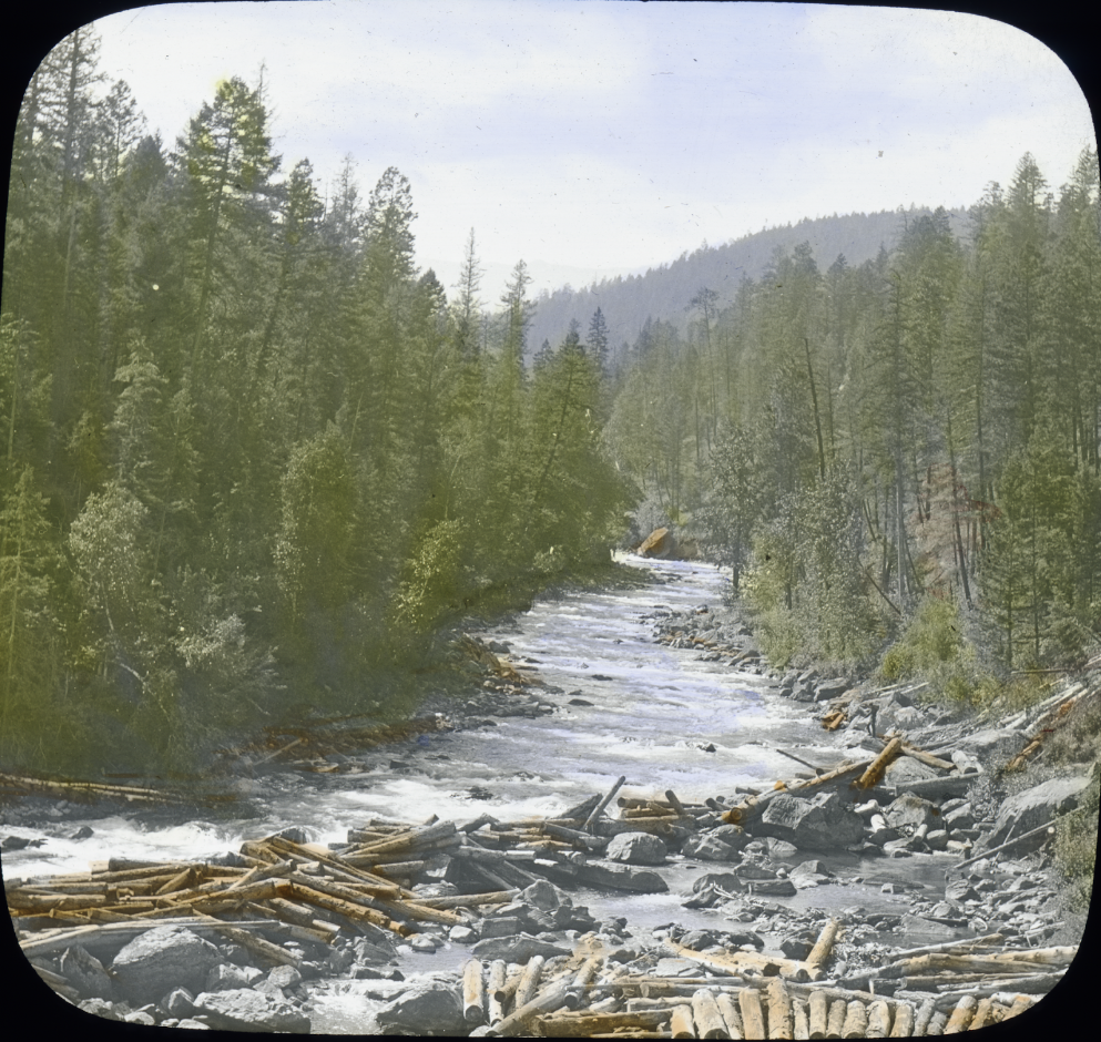 The Swan River with logs from the log drive — Credit Morton J. Elrod Collection UM Mansfield Library